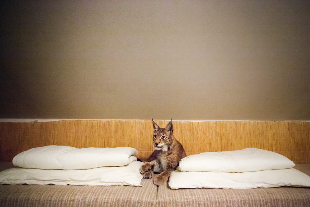 Tereza Valner brand fotograf Olomouc