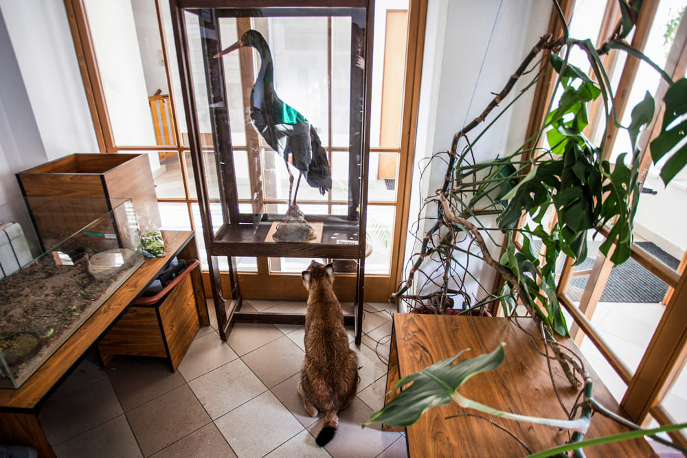 Tereza Valner brand fotograf Olomouc