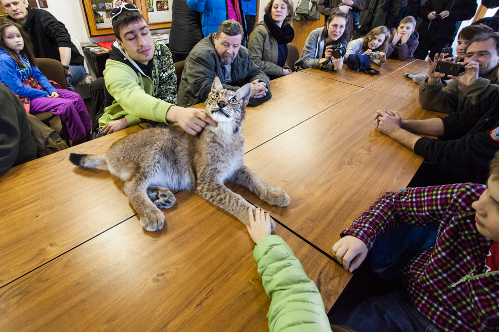 Tereza Valner brand fotograf Olomouc
