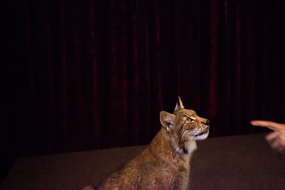 Tereza Valner brand fotograf Olomouc