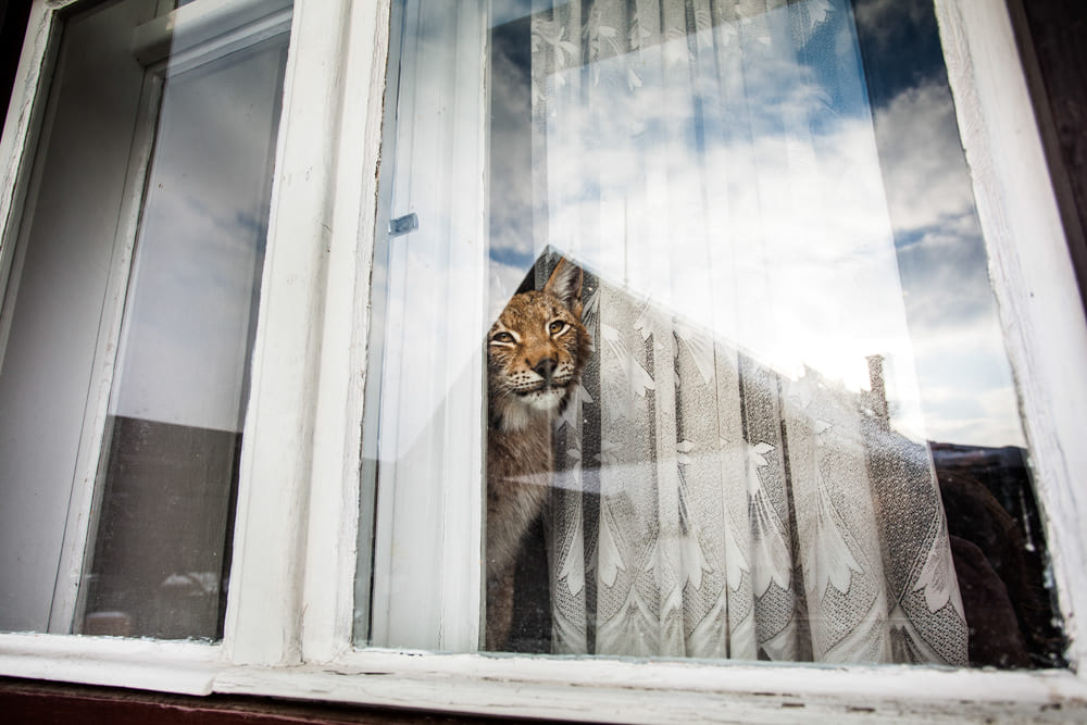 Tereza Valner brand fotograf Olomouc