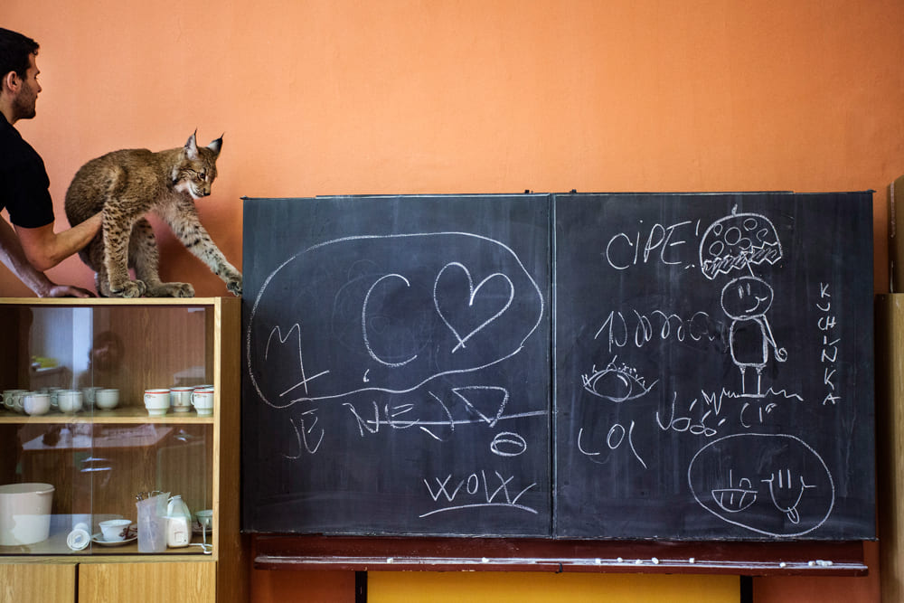 Tereza Valner brand fotograf Olomouc