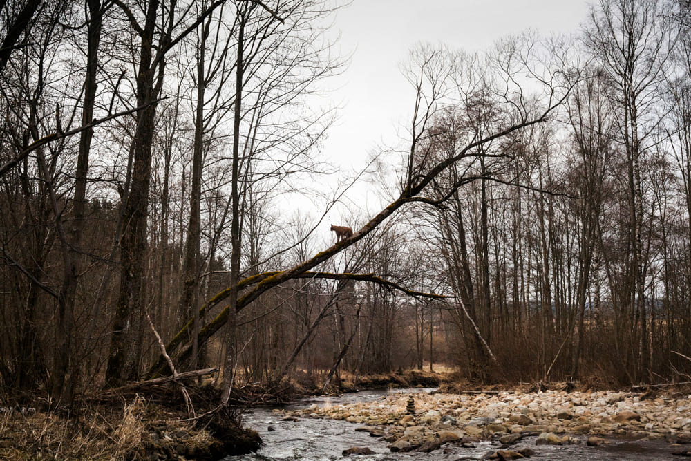 Tereza Valner brand fotograf Olomouc