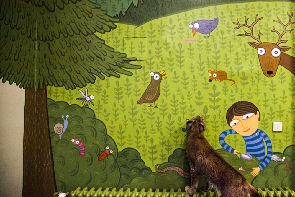 Tereza Valner brand fotograf Olomouc