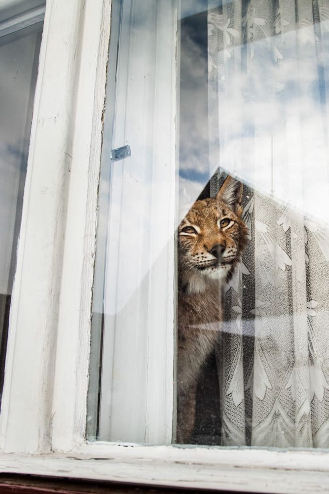 Tereza Valner fotografie zvířat Olomouc